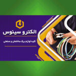 الکترو سینوس (ربیعی)