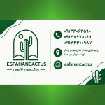 اصفهان کاکتوس (حسین پور)